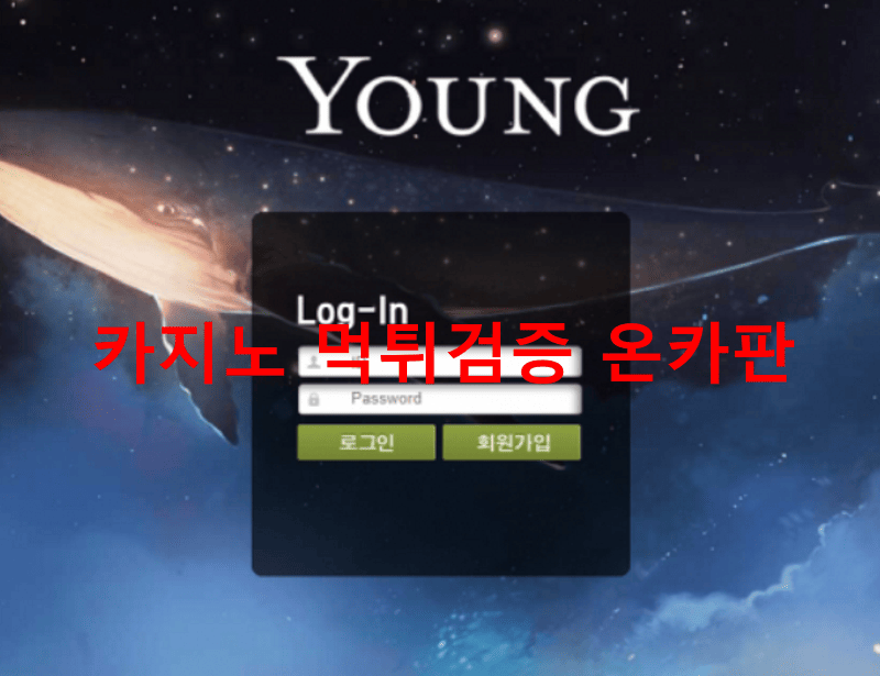 YOUNG먹튀