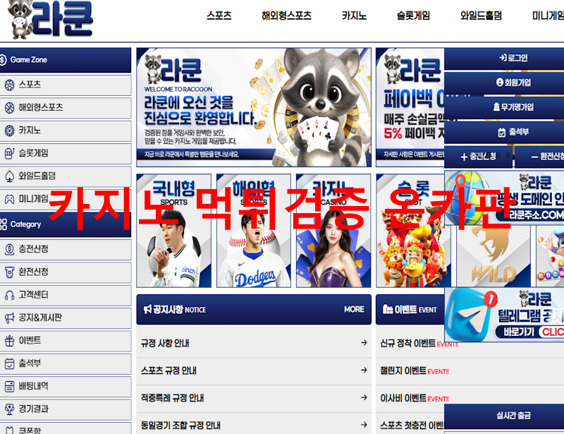 라쿤 먹튀