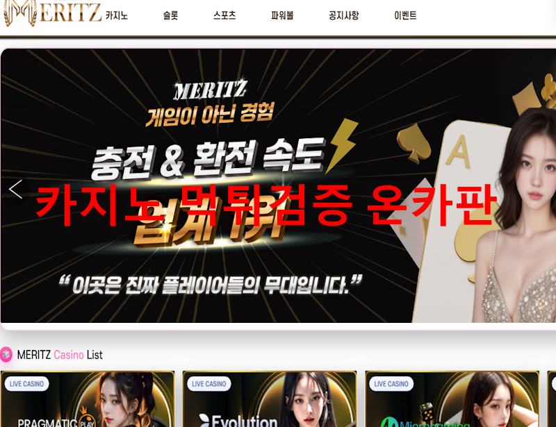 메리츠 먹튀