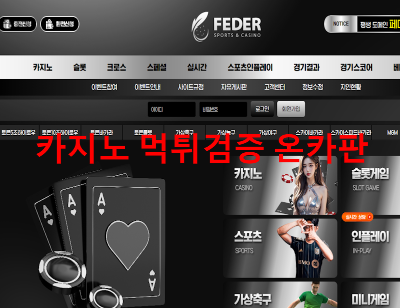 페더 먹튀