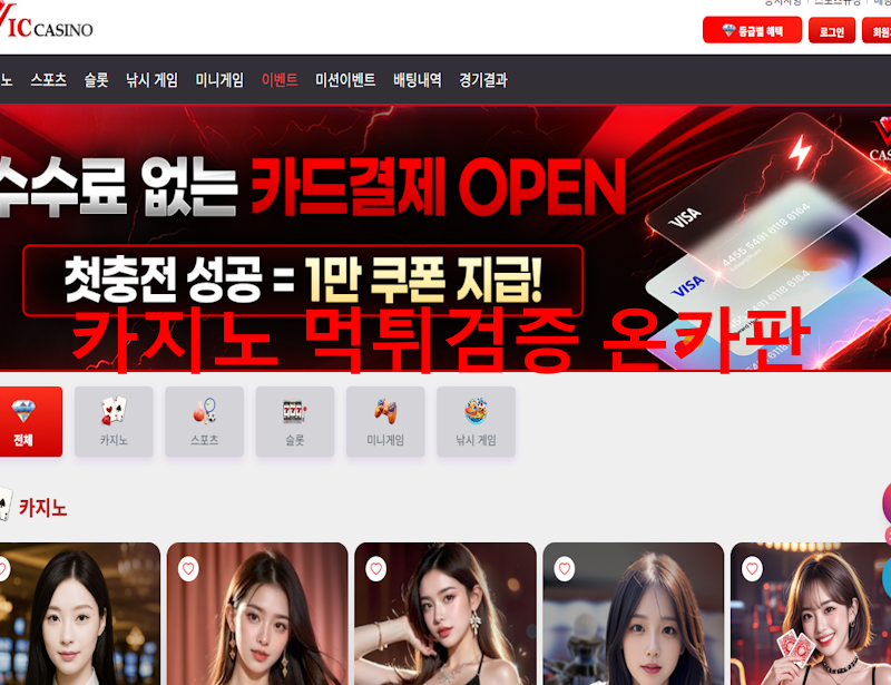 빅카지노 먹튀