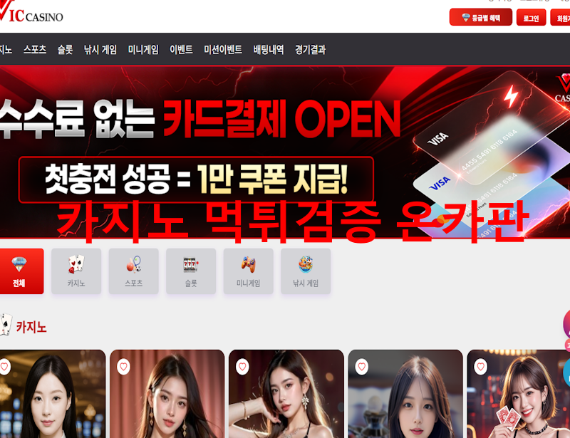 빅카지노 먹튀