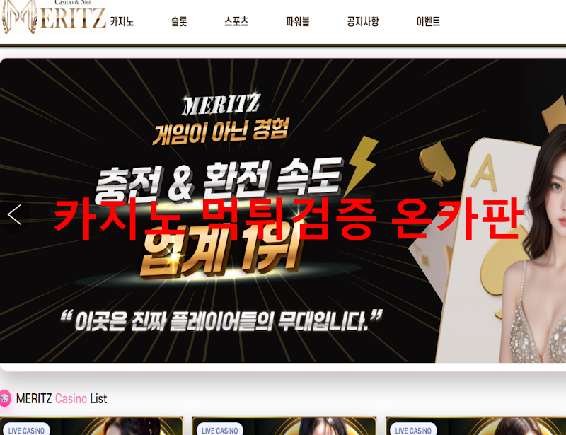 메리츠 먹튀