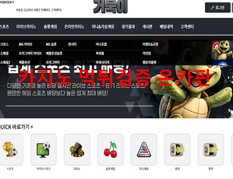 거북이 먹튀