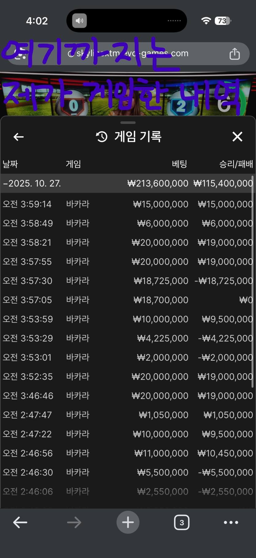희대의 1억8천 먹튀사건(베x의 민족 보증업체 환타)(8)