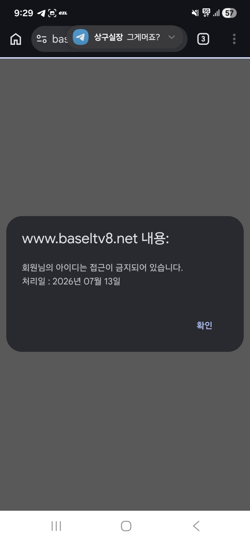 바셀티비 보증 Z 먹튀(4)