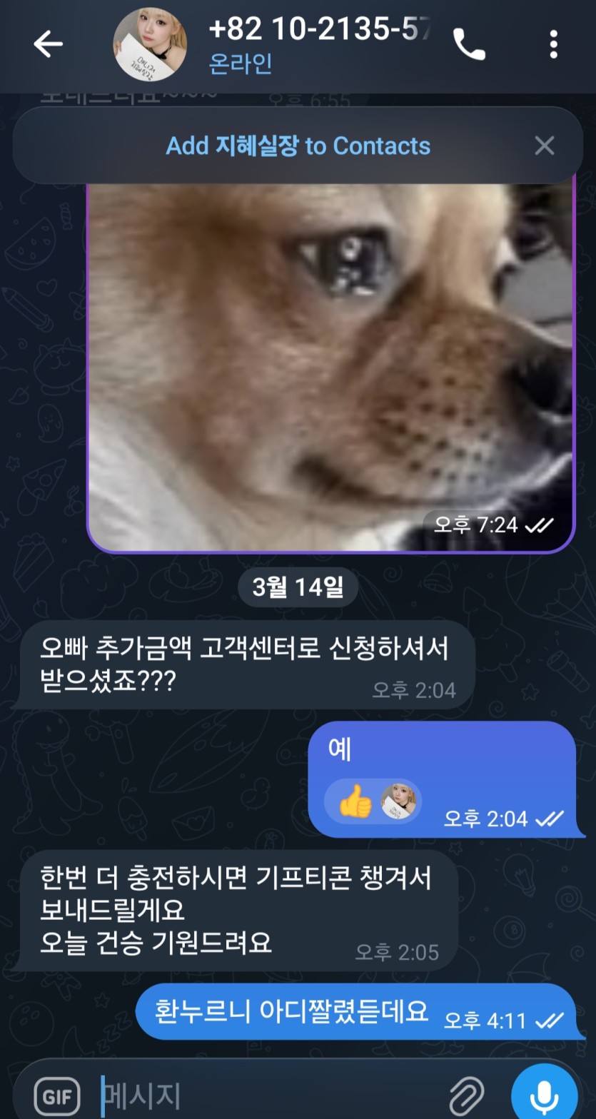 레드펠리스 53 먹튀 조심하세요(3)