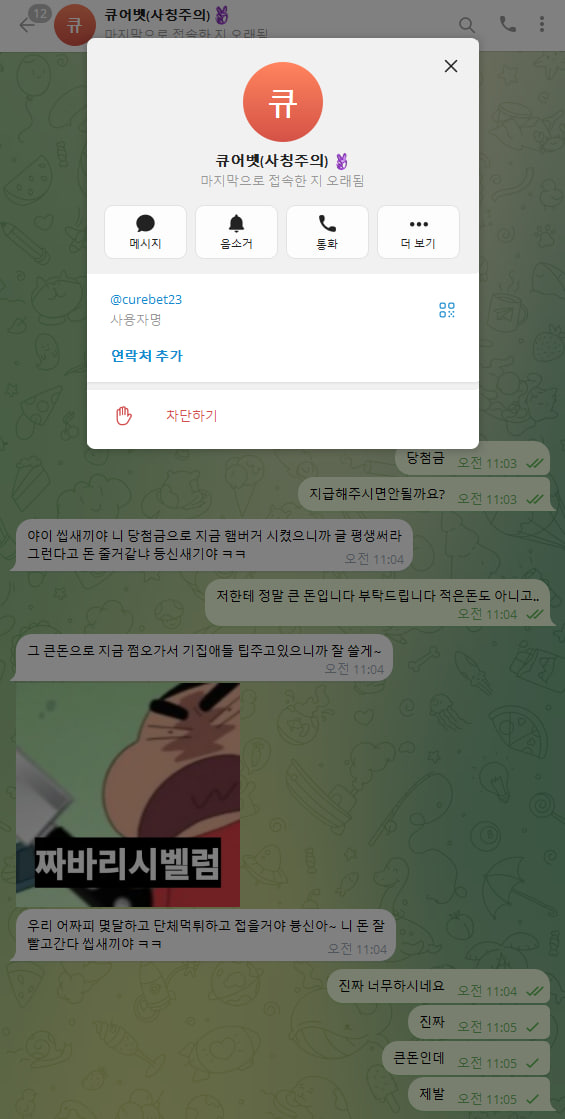 큐어벳 먹튀 이게 왜 니돈이야 시전 곧 전체먹튀예정(4)
