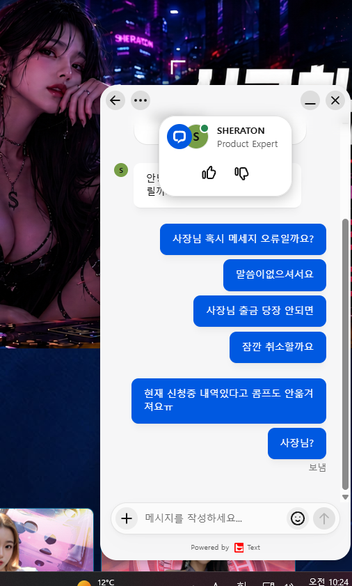 쉐라톤 카지노 먹튀(4)
