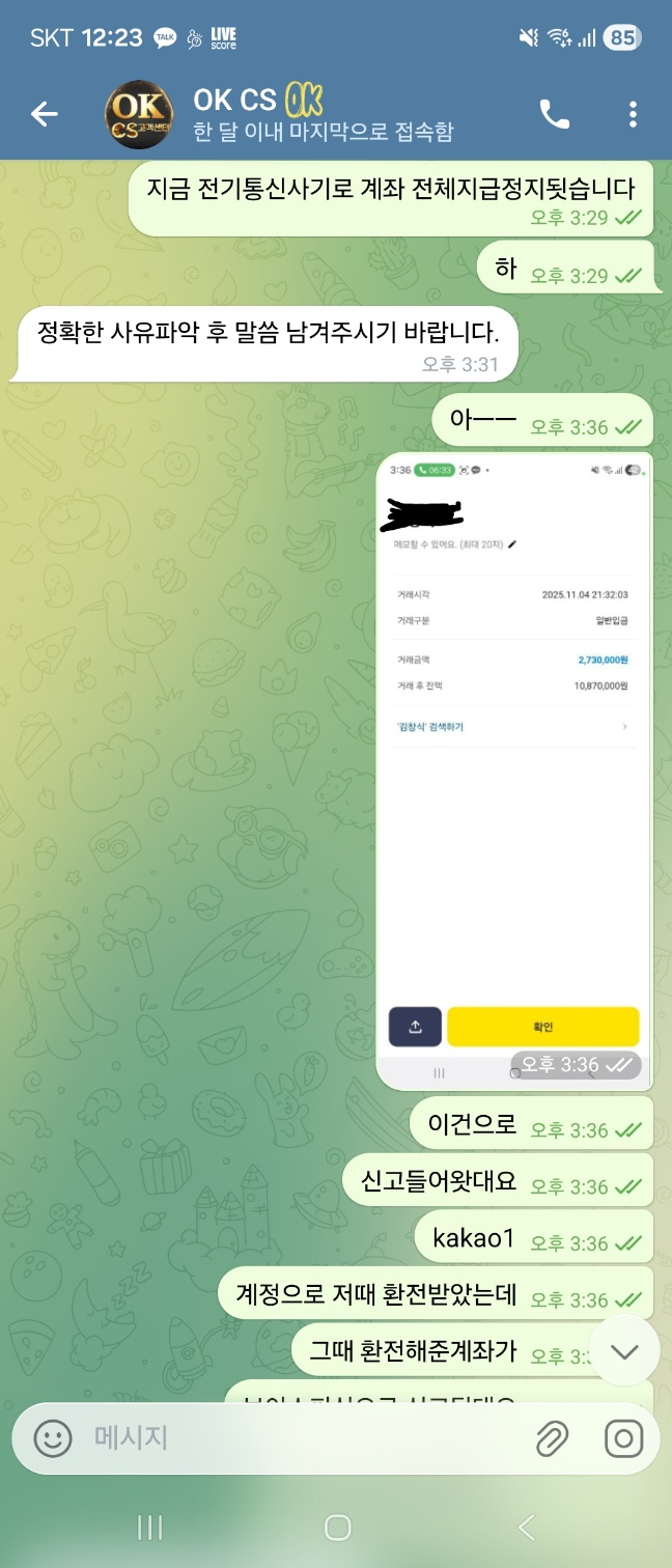 오케이 스피드 대형사이트 회원관리 개버러지수준(0)