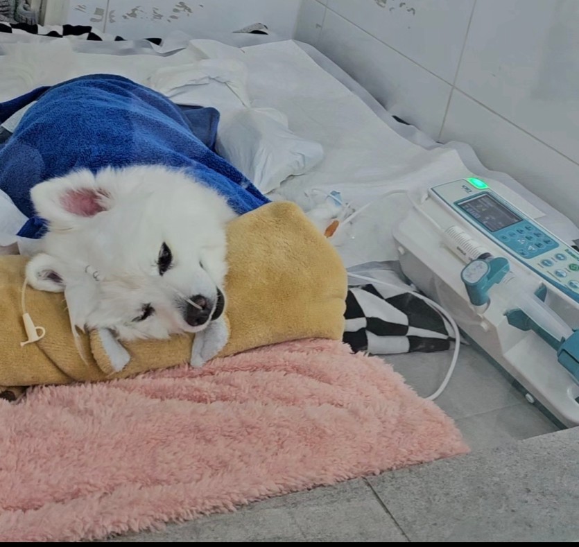 씨발..(1)