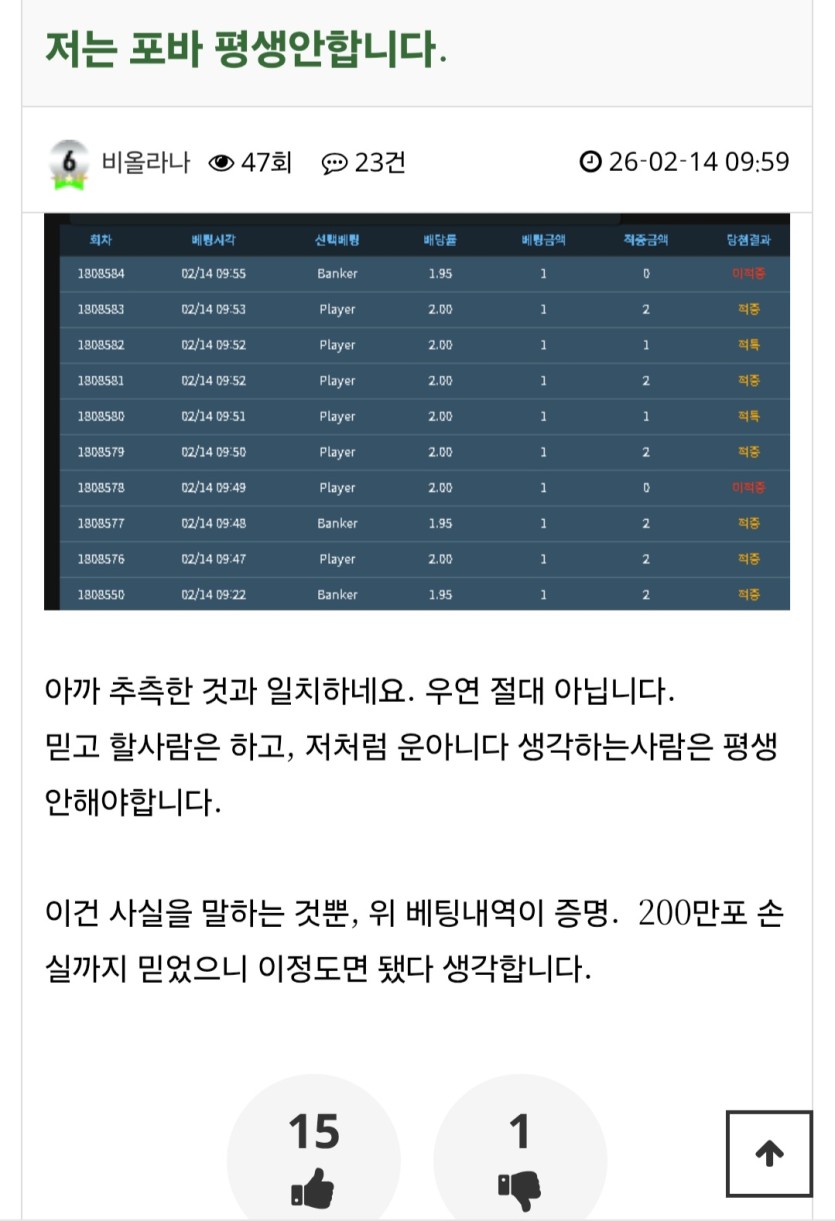 소소달달한 비올라나에 대해 알아보자..(씨발)(1)