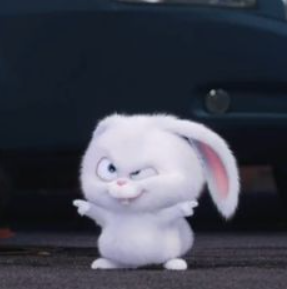 더비고독사 기원 444일차(0)