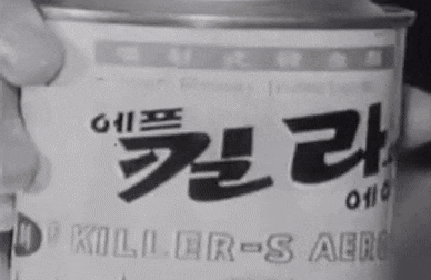 근데 에프킬라뿌렸는데..(0)