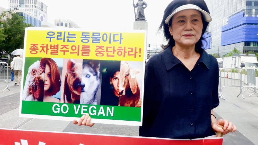 영자형이 주작무새들 안쳐내는 이유(0)
