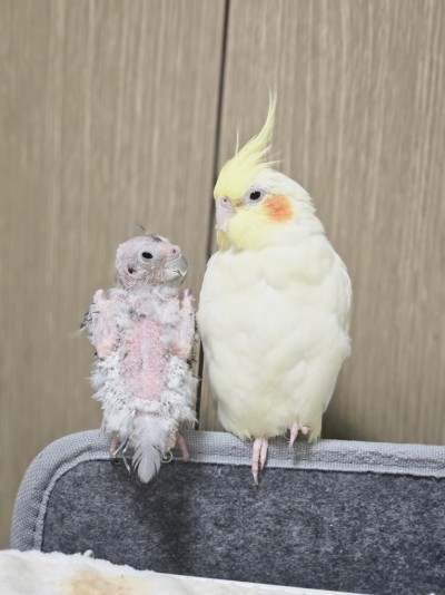(0)