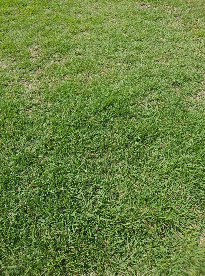 밥먹고나서(0)