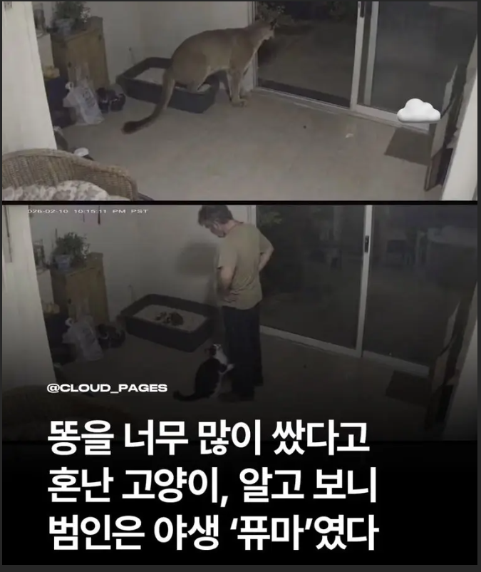 뭔가 거대한게 있다!!(0)
