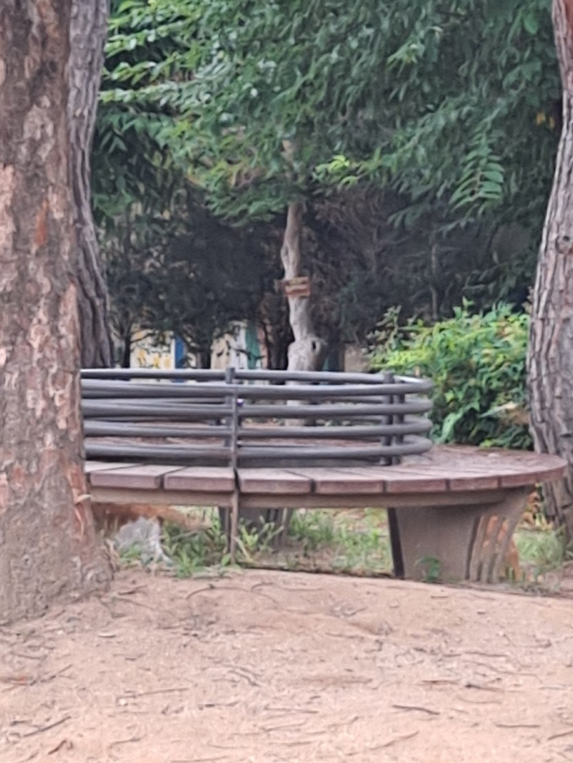 현재 고양이들(0)