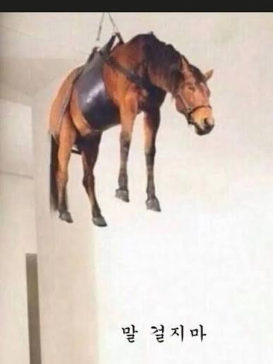 (0)