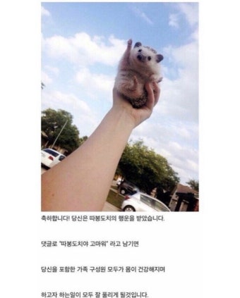 (0)
