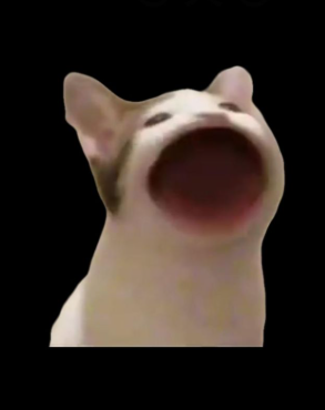 (0)