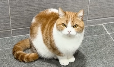 (0)