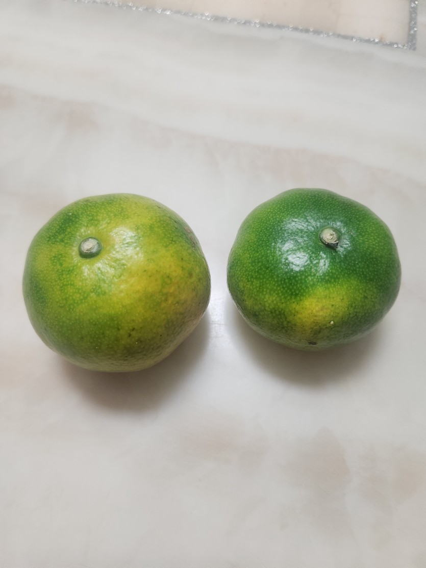 밀감 오랜만에 먹어보네요(0)