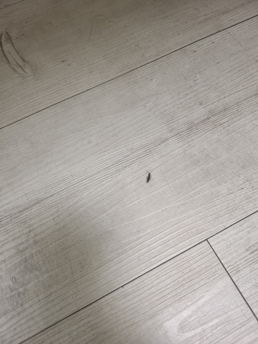 오막글 R.I.P.(0)
