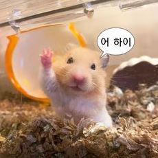 10분 댓노 30분 휴식(0)
