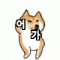 어가꾼 발견... 몰래 찍었습니다....ㄷㄷ(1)