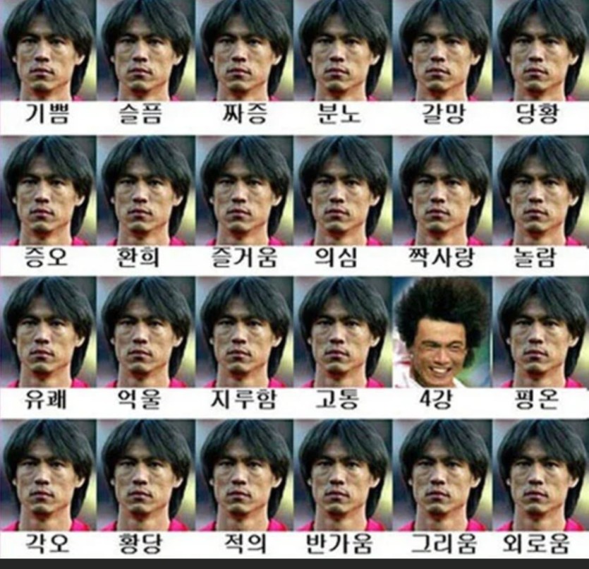 홍명보짤 ㄷㄷ(0)