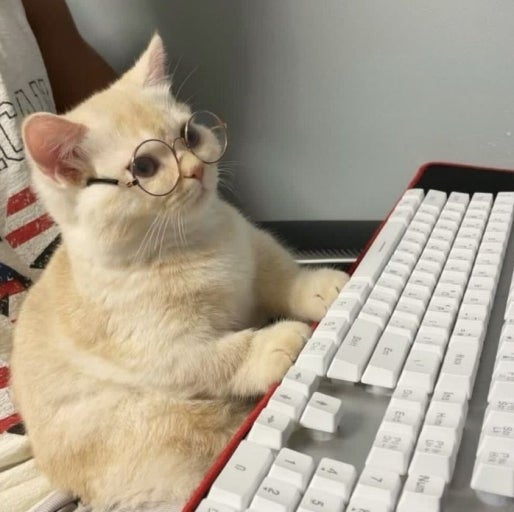 오추리완입니당ㅅㄴㄴㅅㅅㅅㅅㅅ(0)