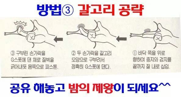 밤의 제왕...ㄷㄷ(1)