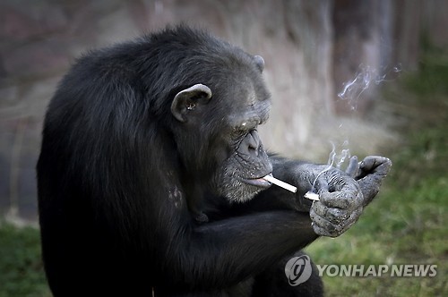다들 스피디하게 담배피고 오시죠(0)