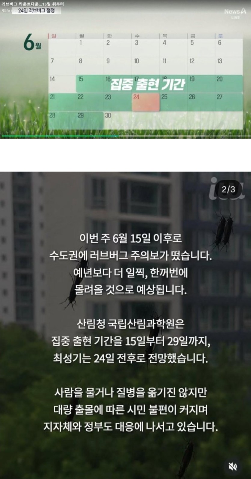 그들이 몰려온다(0)