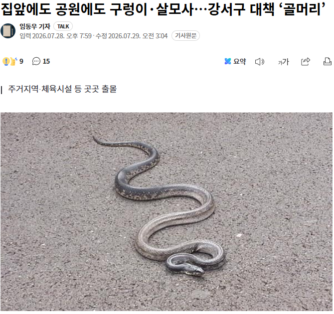 요즘 도심지에서도 독사가 나오는군여 신기하네(0)