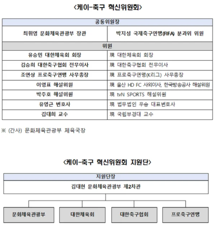 'K-축구 혁신위' 출범(0)