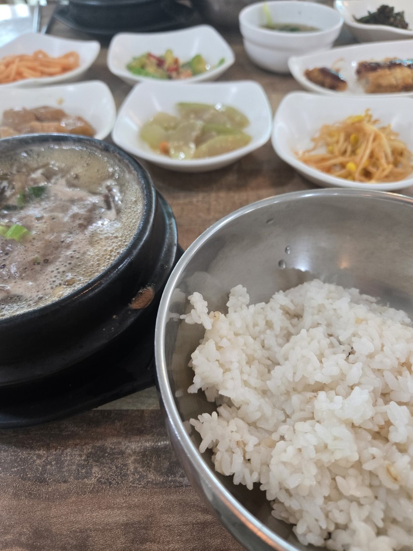 오늘도 거친식사 준비중입니다(0)