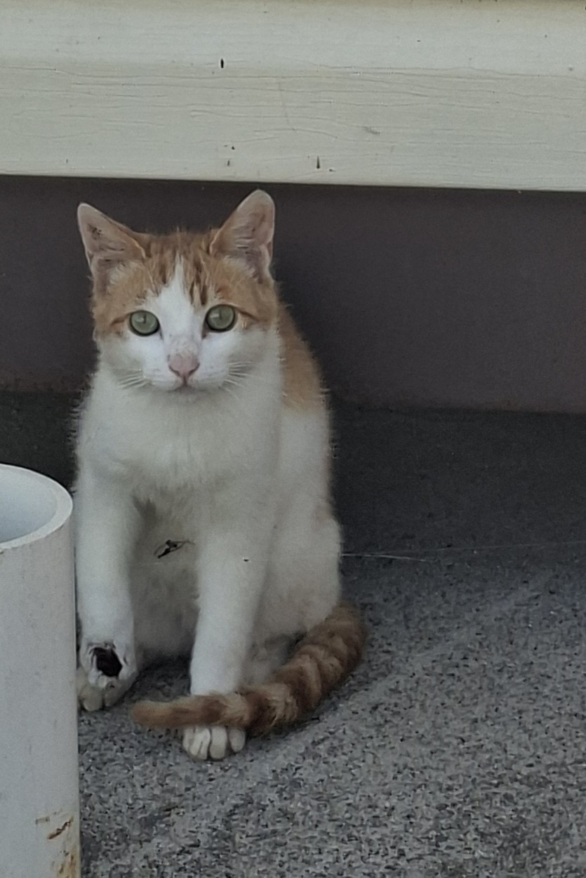오메 불쌍한것(0)