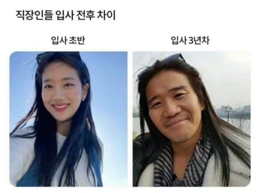 직장인 입사 전 후(0)