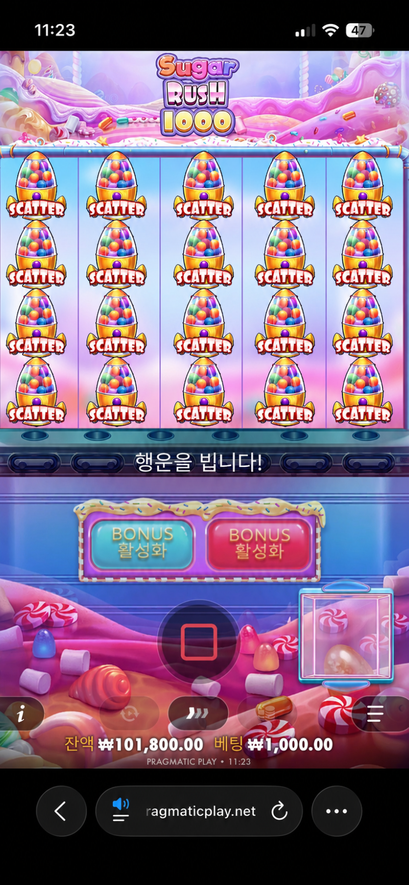 슈가1000 대박터졌네요 후..!!(0)