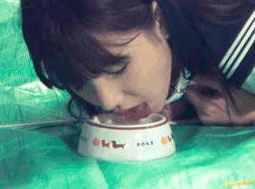 커피겜 승리하시길(0)