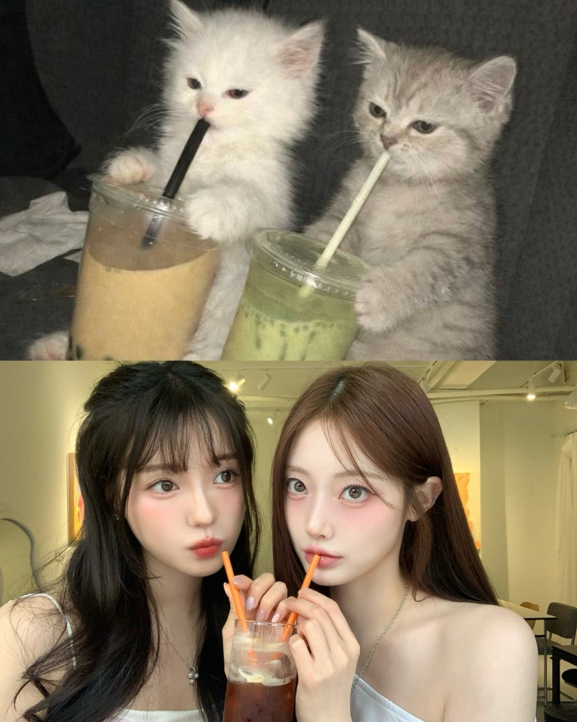 제가 한 거 아님요(0)