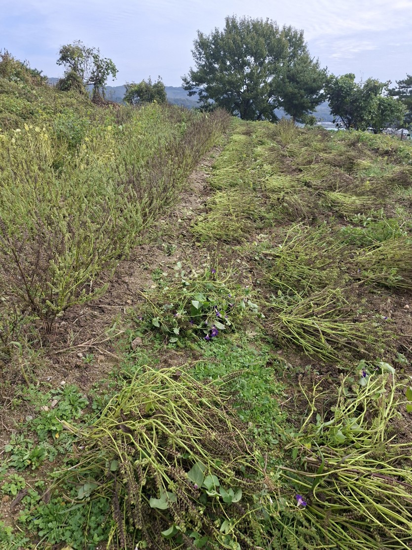 다들모하십니까(0)