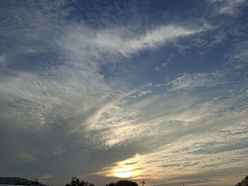 밖에 나왔습니다.(0)