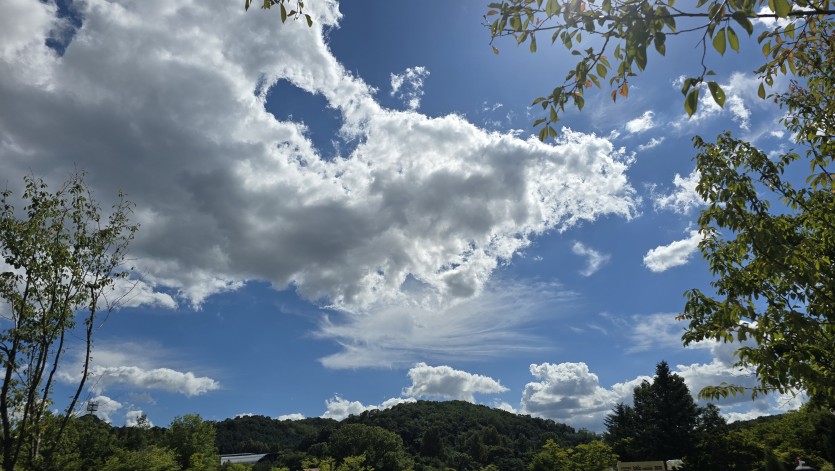 하늘한번보기(0)