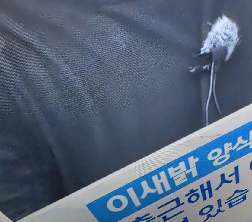 이분은 뭐죠 ㄷㄷ(0)