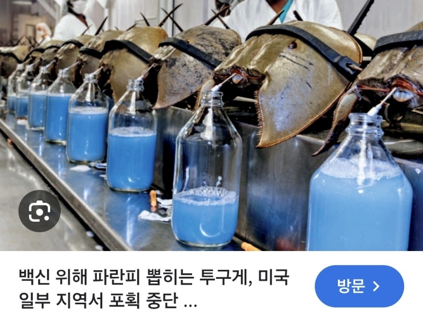 솔직히 까고말해서 저게 무슨혜택입니까(0)