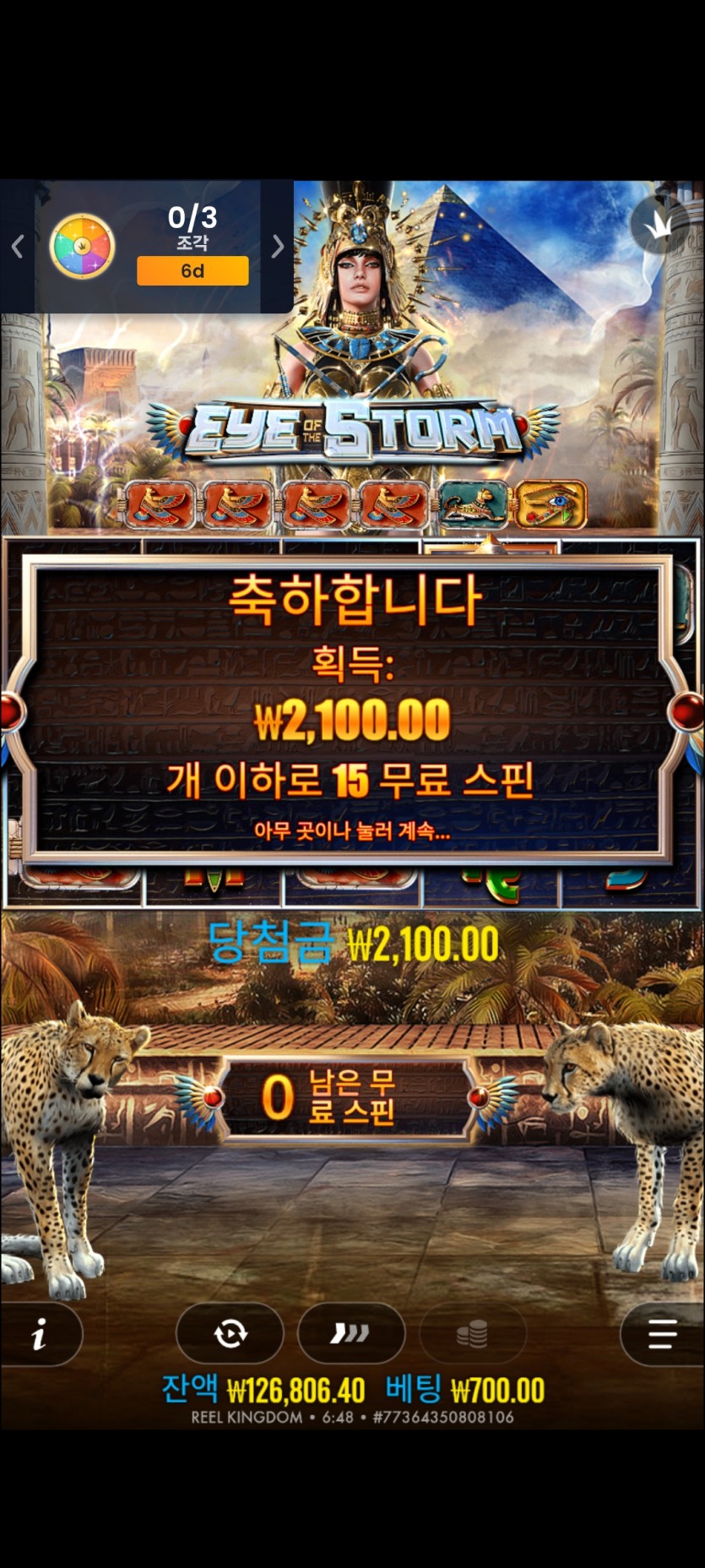 얀카후기(3)